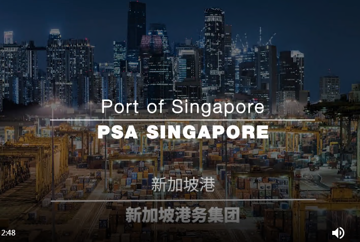 【视频】新加坡超级港口AGV自动充电
