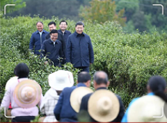 “五位书记”同框照背后的故事