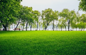 涉及稀土，“欧洲重大发现”