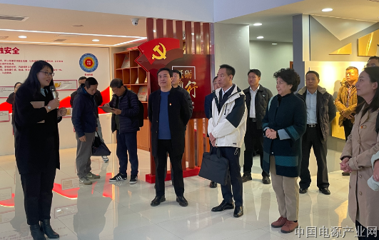 党建引领聚合力 共绘发展新蓝图——电源行业协会党支部参加主题党日活动